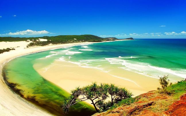 Summer Nature Wallpapers