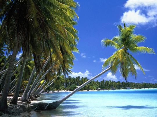Tahiti Wallpapers