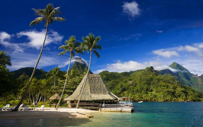 Free download Tahiti Wallpaper HD Desktop Wallpapers [1920x1200] for 