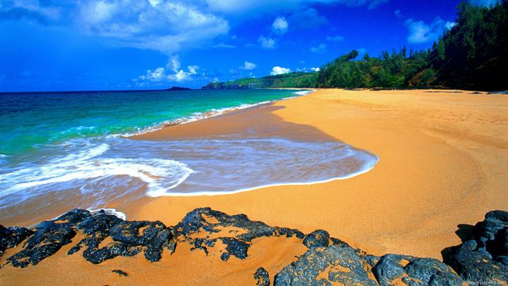 [44+] Tahiti Beach Wallpaper 