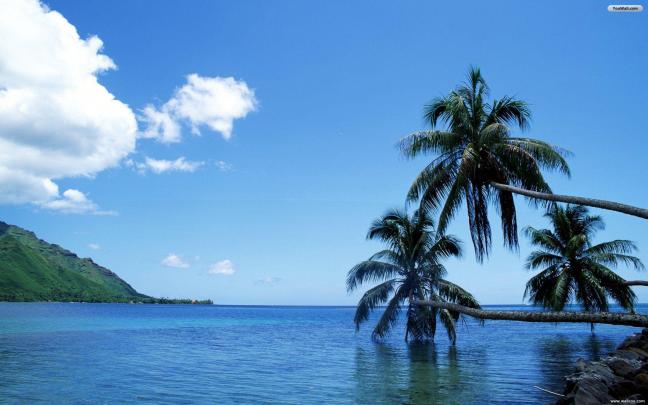 Tahiti Wallpapers