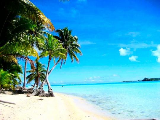 [44+] Tahiti Beach Wallpaper 