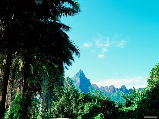 mountains nature trees tahiti 1920x1440 wallpaper \u2013 Nature Mountains HD 