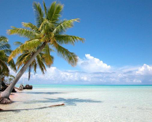 Tahiti Wallpapers