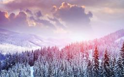 Snowflake Desktop Wallpaper Free