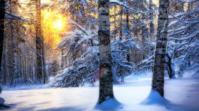 Snowflake Desktop Wallpaper Free
