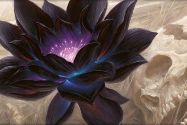 MTG wallpaper \u00b7\u2460 Download free stunning HD backgrounds for desktop 