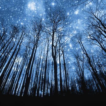 10 Most Popular Starry Night Wallpaper 1920X1080 FULL HD 1080p For PC 