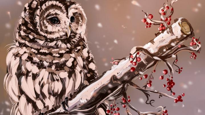 1920x1080 px digital art owl High Quality Wallpapers,High Definition 