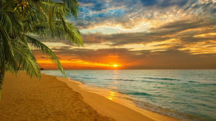 Paradise Wallpapers - Top Free Paradise Backgrounds - WallpaperAccess