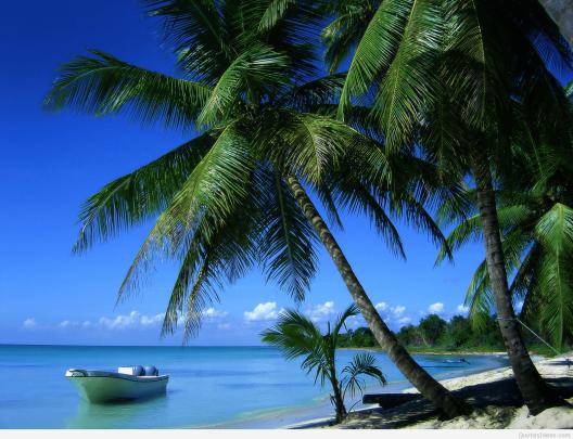 Summer Beach Paradise Wallpapers - 4k, HD Summer Beach Paradise 