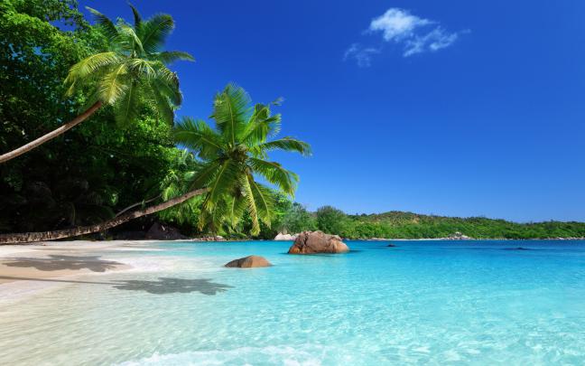 Beach Ocean Tropical Paradise Wallpapers - 4k, HD Beach Ocean Tropical 