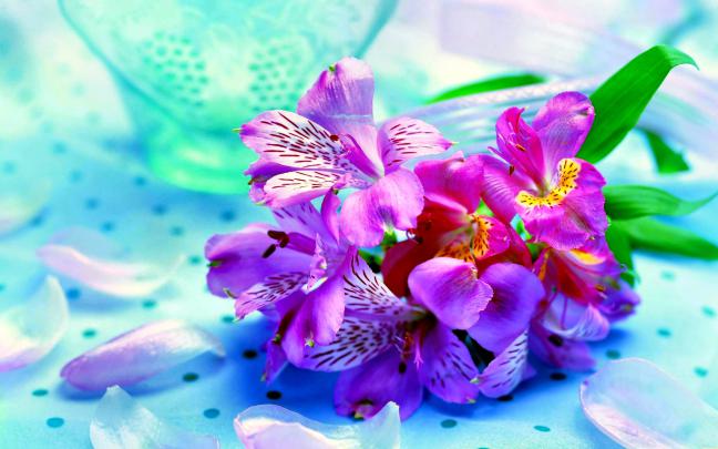 Pastel wallpaper \u00b7\u2460 Download free amazing full HD backgrounds for 