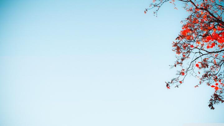 Pastel Aesthetic Desktop Wallpapers - Top Free Pastel Aesthetic Desktop 