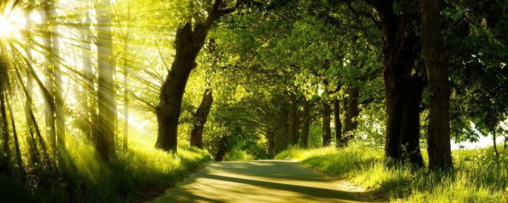 PC Nature Wallpapers, Celio Grimbleby