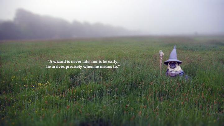 A wizard is Never Late - Pug Wallpaper [1920x1080] | Lordes