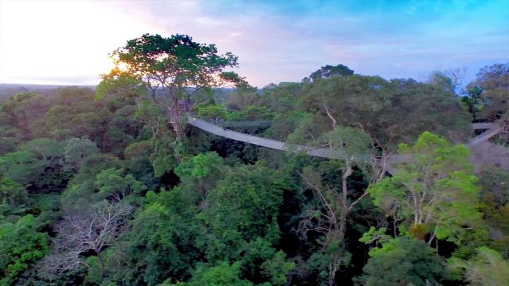 Amazon Rainforest Wallpaper (69+ images)