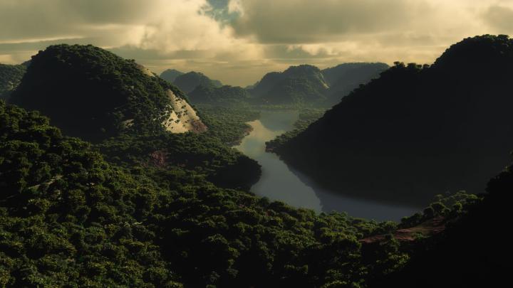 Rainforest Wallpaper 1920x1080