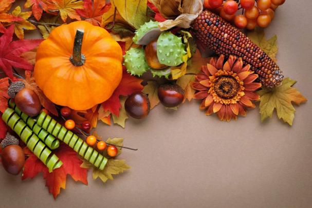 Thanksgiving Wallpaper HD Free Download