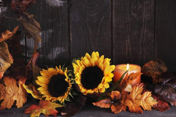 Thanksgiving Wallpapers HD Free Download