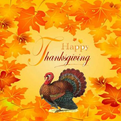 10 New Turkeys For Thanksgiving Wallpaper FULL HD 1080p For PC Desktop 2020