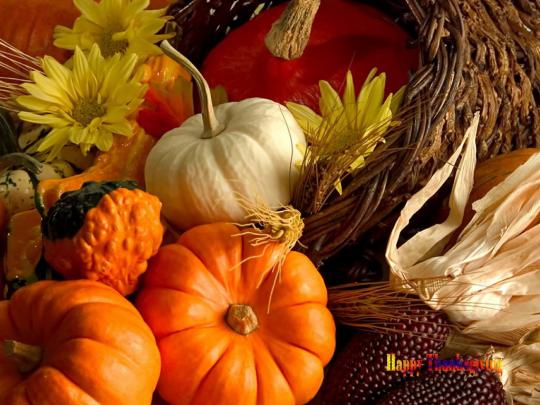 10 Top Free Thanksgiving Screensavers Wallpaper FULL HD 1080p For PC 