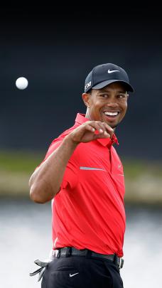 Download Tiger Woods Wallpaper Gallery
