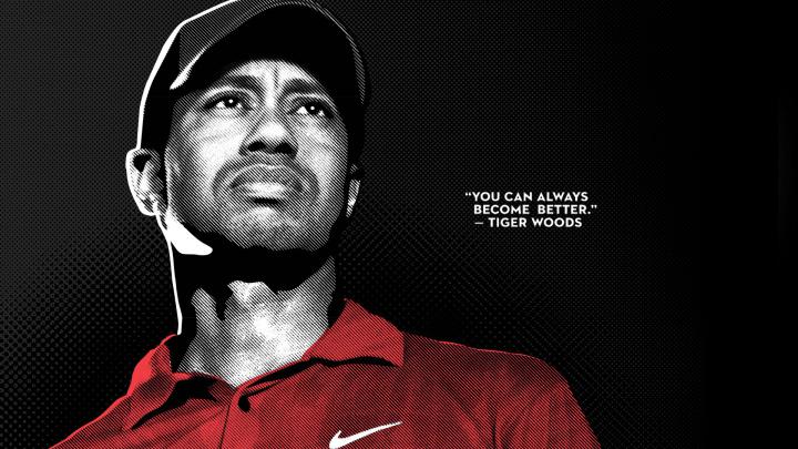Tiger Woods: 2013 Player of the Year - Eighteen Under ParEighteen Under Par