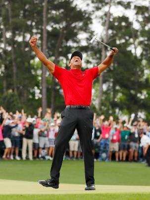 Tiger Woods Iphone Wallpaper : Hd Wallpaper Tiger Woods Golf Sports Hd 
