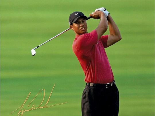Tiger Woods Wallpapers - Top Free Tiger Woods Backgrounds - WallpaperAccess