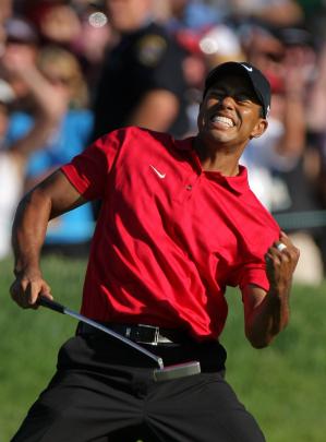 Tiger Woods Wallpaper - Wallpaper Download