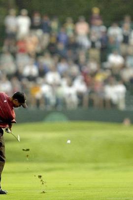 Tiger Woods Wallpapers Hd Desktop Backgrounds Desktop Background