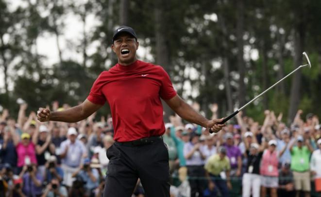 Tiger Woods Nike Velocity Glow Stripe Polo Wallpaper - Tiger Woods Nike 