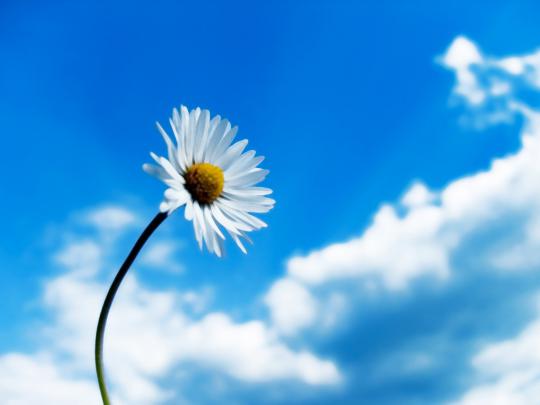 Unique Desktop Wallpapers | Wallpaper Gallery