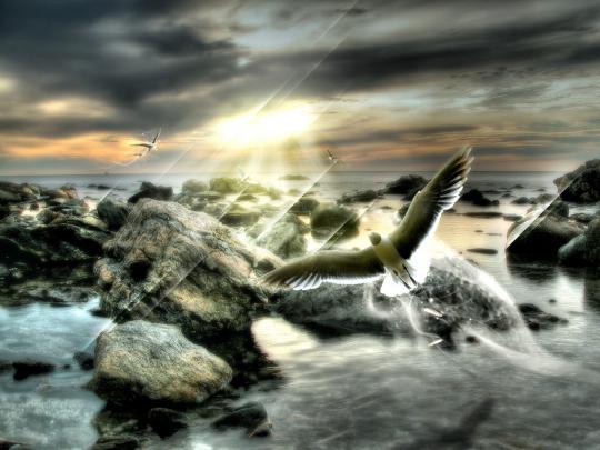 Unique Desktop Wallpapers | Wallpaper Gallery