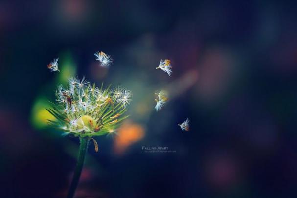 Unique wallpaper \u00b7\u2460 Download free beautiful HD wallpapers for desktop 