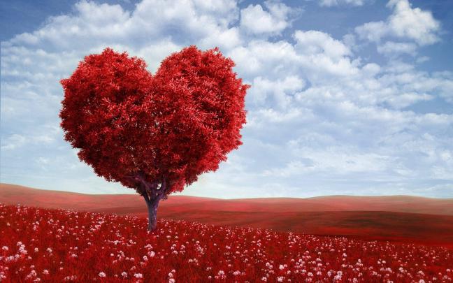 Valentines Wallpapers Free