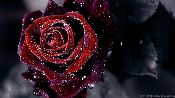 Valentine Desktop Wallpapers (73+ background pictures)