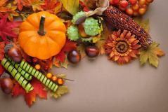 Thanksgiving Hd Desktop Wallpaper