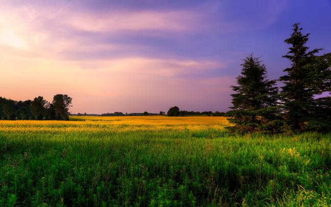 16K Ultra HD Wallpapers -