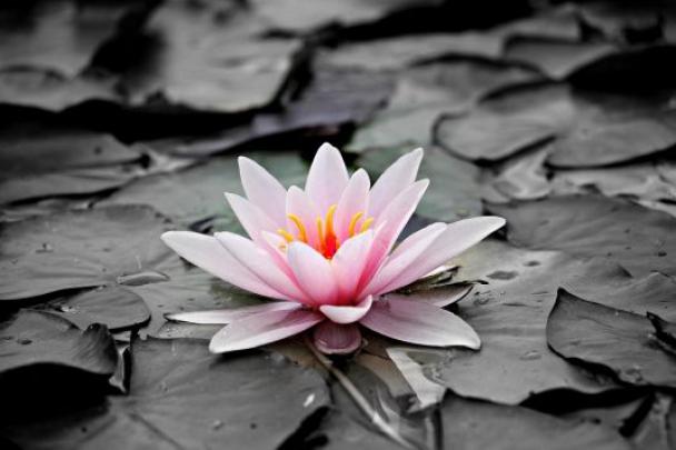 9+ Image 16k Wallpaper For Desktop HD