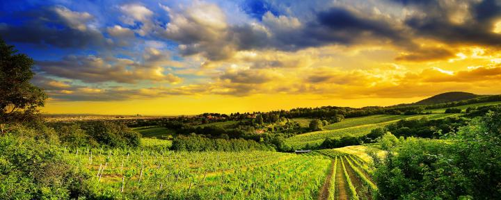 16K Resolution Wallpaper -