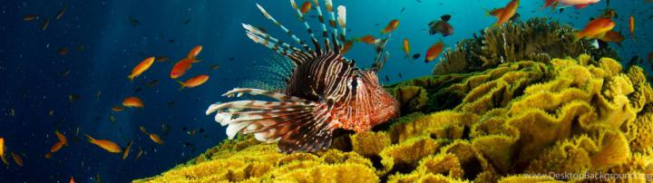 3840X1080 Wallpaper Underwater : Download 3840x1080 wallpaper and make 