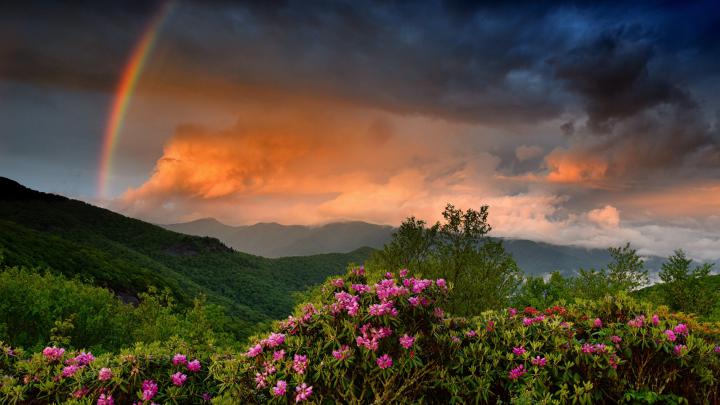 4k best hd wallpaper desktop (3840x2160) | Desktop wallpaper, Hd 