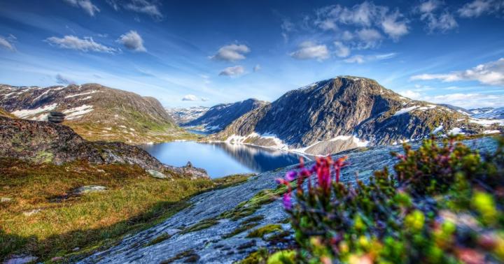 Spring Scenery Wallpaper 1080P \/ 95 Spring Nature Android Iphone 