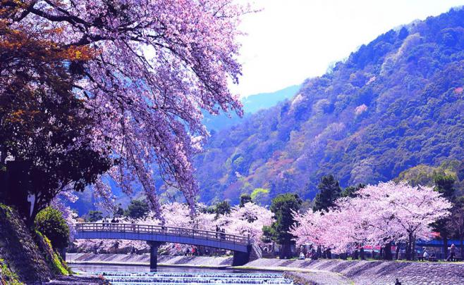 Spring Scenery Wallpaper 1080P \/ 41 Country Spring Desktop Wallpaper On 