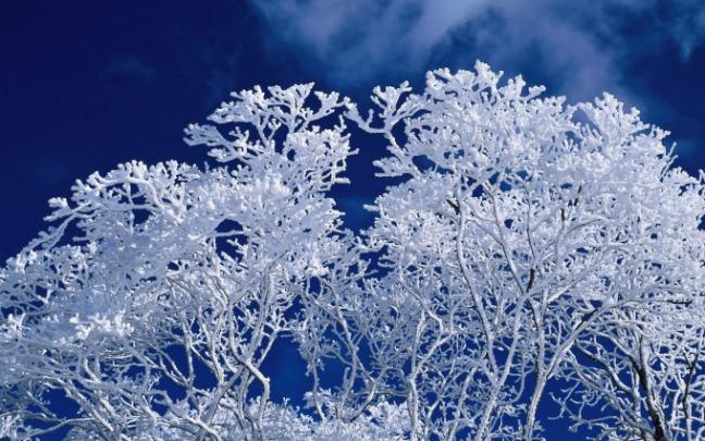frost wallpaper 1080p | HD Desktop Wallpapers