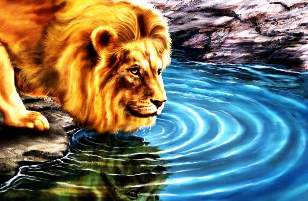 3D Wallpaper Desktop Backgrounds Lion -