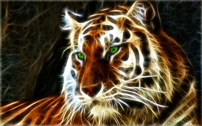 Tiger background \u00b7\u2460 Download free beautiful full HD wallpapers for 
