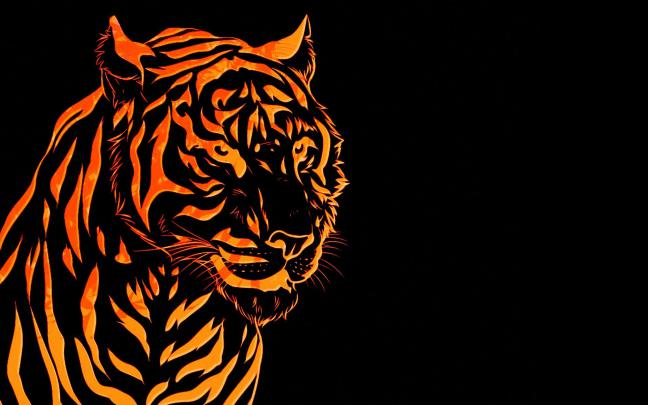 tiger, line, graph Wallpaper, HD Vector 4K Wallpapers, Images, Photos 